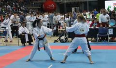 Mistrzostwa Świata w karate w Krakowie (link otworzy duże zdjęcie)