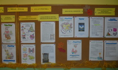 Jubileusz pisemka „Polne kwiaty” w Przedszkolu nr 6 (link otworzy duże zdjęcie)