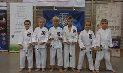 Mistrzostwa Powiatu Poznańskiego w Karate WKF