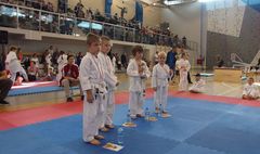 Mistrzostwa Powiatu Poznańskiego w Karate WKF (link otworzy duże zdjęcie)
