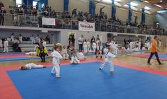 Mistrzostwa Powiatu Poznańskiego w Karate WKF (link otworzy duże zdjęcie)