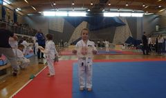 Mistrzostwa Powiatu Poznańskiego w Karate WKF (link otworzy duże zdjęcie)