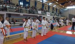 Mistrzostwa Powiatu Poznańskiego w Karate WKF (link otworzy duże zdjęcie)