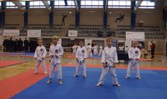 Mistrzostwa Powiatu Poznańskiego w Karate WKF (link otworzy duże zdjęcie)