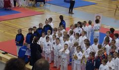 Mistrzostwa Powiatu Poznańskiego w Karate WKF (link otworzy duże zdjęcie)