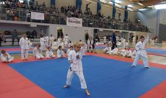 Mistrzostwa Powiatu Poznańskiego w Karate WKF (link otworzy duże zdjęcie)