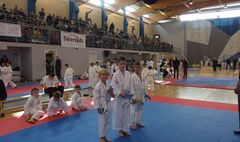 Mistrzostwa Powiatu Poznańskiego w Karate WKF (link otworzy duże zdjęcie)