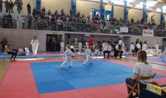 Mistrzostwa Powiatu Poznańskiego w Karate WKF (link otworzy duże zdjęcie)