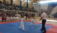 Mistrzostwa Powiatu Poznańskiego w Karate WKF (link otworzy duże zdjęcie)