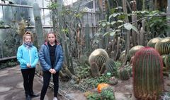 Podopieczni świetlic zwiedzają wystawę psów rasowych. (link otworzy duże zdjęcie)