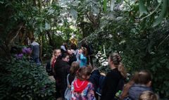 Podopieczni świetlic zwiedzają wystawę psów rasowych. (link otworzy duże zdjęcie)