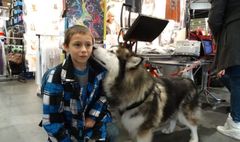 Podopieczni świetlic zwiedzają wystawę psów rasowych. (link otworzy duże zdjęcie)