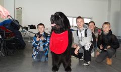 Podopieczni świetlic zwiedzają wystawę psów rasowych. (link otworzy duże zdjęcie)