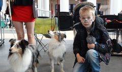 Podopieczni świetlic zwiedzają wystawę psów rasowych. (link otworzy duże zdjęcie)