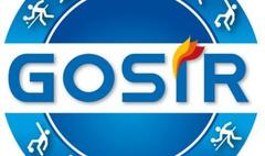 Logo GOSiR (link otworzy duże zdjęcie)