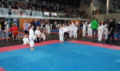 IV Otwarty Turniej Karate Dzieci i Młodzieży o Puchar Burmistrza Miasta i Gminy Kórnik (link otworzy duże zdjęcie)