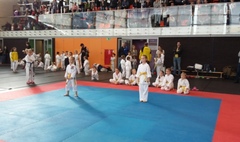 IV Otwarty Turniej Karate Dzieci i Młodzieży o Puchar Burmistrza Miasta i Gminy Kórnik (link otworzy duże zdjęcie)