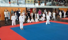 IV Otwarty Turniej Karate Dzieci i Młodzieży o Puchar Burmistrza Miasta i Gminy Kórnik (link otworzy duże zdjęcie)