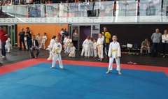 IV Otwarty Turniej Karate Dzieci i Młodzieży o Puchar Burmistrza Miasta i Gminy Kórnik (link otworzy duże zdjęcie)