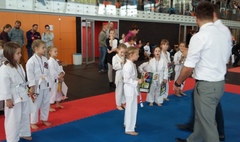 IV Otwarty Turniej Karate Dzieci i Młodzieży o Puchar Burmistrza Miasta i Gminy Kórnik (link otworzy duże zdjęcie)