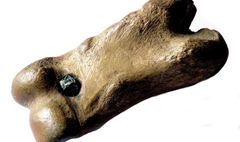 Wystawa zabawek w MPPP (link otworzy duże zdjęcie)