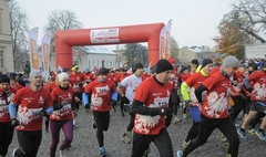 Narodowe Święto Niepodległości 2016 (link otworzy duże zdjęcie)