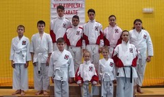 XIV Mistrzostwa Wielkopolski w Karate