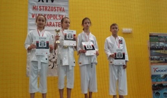 XIV Mistrzostwa Wielkopolski w Karate (link otworzy duże zdjęcie)