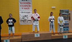 XIV Mistrzostwa Wielkopolski w Karate (link otworzy duże zdjęcie)