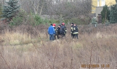 Zdjęcie z akcji łapania zabłąkanego w mieście jelonka