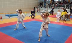 Zawodnicy Klubu Karate Inochi Gniezno (link otworzy duże zdjęcie)