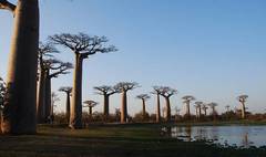 (link otworzy duże zdjęcie)