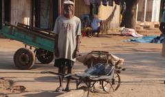 (link otworzy duże zdjęcie)