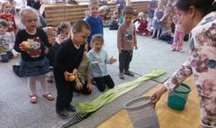 Innowacja Pedagogiczna „Mój pierwszy ogród”. (link otworzy duże zdjęcie)