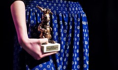 Gala Królika i Ambasadora 2017 (link otworzy duże zdjęcie)