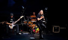 Gala Królika i Ambasadora 2017 (link otworzy duże zdjęcie)