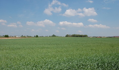 Zdjęcie działki objętej specjalną strefą ekonomiczną