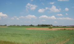 Zdjęcie działki objętej specjalną strefą ekonomiczną (link otworzy duże zdjęcie)