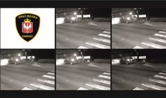 zdjęcie z fotopułapki (link otworzy duże zdjęcie)