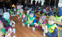 Akcja „Pomóż zwierzętom leśnym (link otworzy duże zdjęcie)