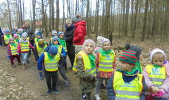 Akcja „Pomóż zwierzętom leśnym (link otworzy duże zdjęcie)