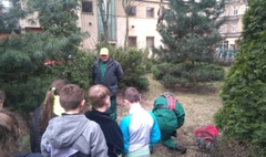 Zawodowe powitanie wiosny w SP5 (link otworzy duże zdjęcie)