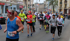 XV Bieg Europejski (link otworzy duże zdjęcie)