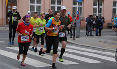 XV Bieg Europejski (link otworzy duże zdjęcie)