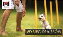 (link otworzy duże zdjęcie)