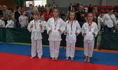 Świetne występy gnieźnieńskich karateków. (link otworzy duże zdjęcie)