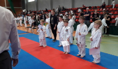 Świetne występy gnieźnieńskich karateków. (link otworzy duże zdjęcie)