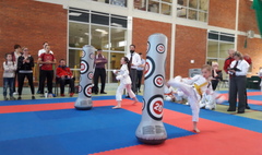 Świetne występy gnieźnieńskich karateków. (link otworzy duże zdjęcie)