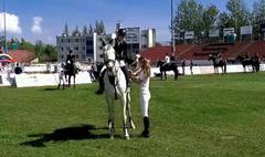 VI Towarzyskie Zawody Jeździeckie w Skokach Przez Przeszkody o Puchar Prezydenta Miasta Gniezna. (link otworzy duże zdjęcie)