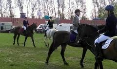 VI Towarzyskie Zawody Jeździeckie w Skokach Przez Przeszkody o Puchar Prezydenta Miasta Gniezna. (link otworzy duże zdjęcie)